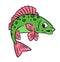 Fish ruff cartoon illustration