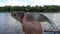 Fish, sabrefish in the hands of a fisherman.