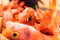 Fish for sale at the market in Trapani