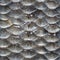 Fish scales seamless pattern