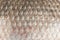 Fish scales skin texture macro view