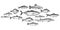 Fish school. Hand drawn fishes shoal, underwater marine ecosystem, sea and river inhabitants vintage engraved style