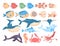 Fish and sea creatures set. Collection of aquatic fauna. Dolphin, whale