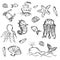 Fish and sea life hand drawn doodle icons set