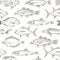 Fish Seamless Pattern. Fish collection