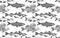 Fish seamless pattern. Perch, Capelin, Herring, Pollock, Shrimp. Vector illustration of fish on on white background