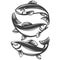 Fish set icon, fishing symbol, hand drawn vector illustration realistic sketch