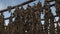 Fish skeletons hanging on wooden racks in wind Iceland