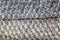 Fish skin scale background of salmon trout