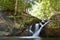 The fish spa at Ton Chongfa waterfall. Khao Lak - Lam Ru national park. Phang Nga province. Thailand