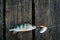 fish, spoon. perch on hooks. on a brown wooden background. fishing bait. close up