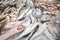 fish stall at a market in Portugal. Fresh chilled variety fish