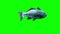 Fish Swim Green Screen Back 3D Rendering Animation