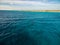 Fish swimming in the calm ocean in Bonaire, Caribbean