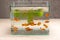 Fish tank on table wooden
