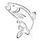 Fish, trout in motion, fish and fishing logo