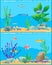 Fish Underwater Scape Set Vector Illustration