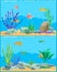 Fish Underwater Scape Set Vector Illustration