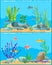 Fish Underwater Scape Set Vector Illustration