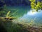 Fish visible in clear water, blue lake in Plitvice, Croatia