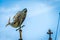 Fish Weathervane and blue sky in Melbourne, Victoria, Australia