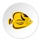 Fish yellow tang icon, flat style