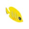 Fish yellow tang icon, isometric 3d style