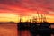 Fishboats at Dock, Steveston Sunrise