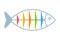 Fishbone colorfull diagram.