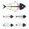 Fishbone infographic design collection with colorful text slot. Infographic design on white background, Stylish Infographic