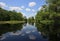 Fisheating Creek reflections on calm summer afternoon.