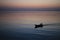 Fisher Boat At Sunset