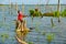 Fisherboy fishing by using fishing pole to fish