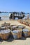 Fisheries are located on the beach in many baskets waiting for uploading onto the truck to the processing plant