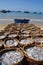Fisheries are located on the beach in many baskets waiting for uploading onto the truck to the processing plant