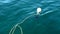 Fisheries on ship and bait in ocean background of waves in New Zealand.