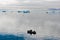 Fisherman boat between Icebergs, Angler in Arctic Ocean, Greenland