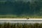 Fisherman on a boat silhouette with forest view