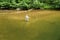 Fisherman Casting Fly to a Rising Trout - 2