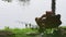 A fisherman catches fish on the river on a warm spring day 