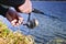 A fisherman catches a fish. Spinning reel closeup. Shallow depth of field on the spool of fishing line