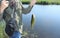 The fisherman caught a carp. Caucasian young man holding a fishing rod with bait and carp in his hands on the background of the ri