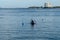 Fisherman checking his traps and catching octopus near Setubal on the Sado River Estuary