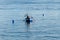 Fisherman checking his traps and catching octopus near Setubal on the Sado River Estuary