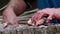 Fisherman cleaning and cutting fresh fish