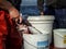 Fisherman cleaning fresh mackerel fish