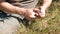 Fisherman cleans the fish on the grass use a knife. Hands close-up.