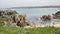 Fisherman cliff ocean view slow motion 4kbeautiful bay portugal baleal view 4k