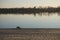 Fisherman and dog by the evening river