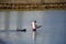 Fisherman and dog in the river, Tavira.